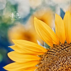 _MG_5288another.jpg