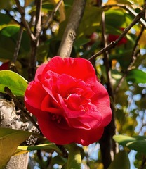 729811B7-1E3D-42DB-80CF-6243836DA395/L0/001