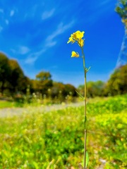 2C55DAB0-7494-44E3-BCCD-2BD130217266/L0/001