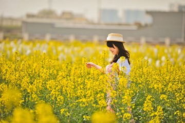 melody1