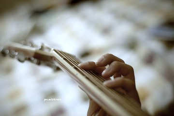 DSC_5155.jpg