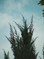 BD43FBF3-1C30-43A8-A407-51A04BE4C536/L0/001