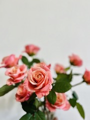 FD2FD0FD-B2DC-4D6A-9C37-A4C16F62FE2C/L0/001