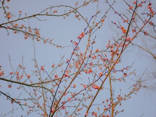 54D198EF-6F24-4041-9546-8B0082800452/L0/001