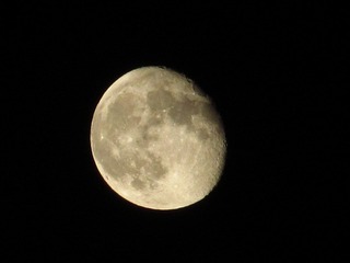 IMG_03770.jpg