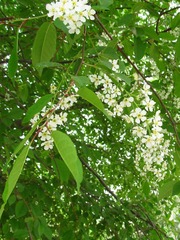 IMG_0355.jpg