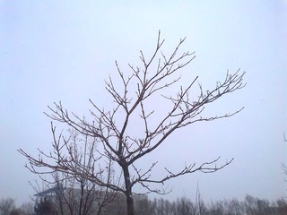 照片0312.jpg