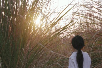 1502A1A0-B091-497B-A7D8-501C9FECF33E/L0/001