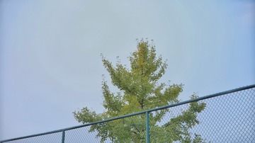 4098940