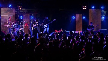 Music Festival - Zebra Run