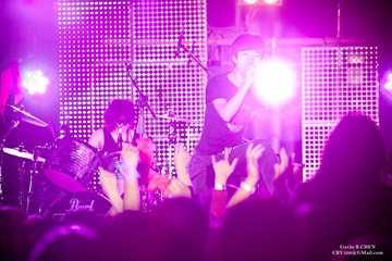 Music Festival - Zebra Run