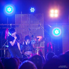 Music Festival - Zebra Run