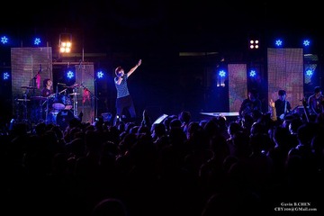 Music Festival - Finger Family
