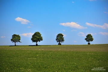 Fussion_001