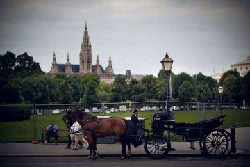 Vienna_002