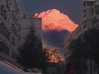 394302