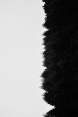 341E4D3A-560C-4A96-A301-16F642F7C78E/L0/001