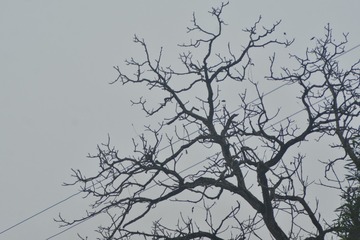 024143A8-B01C-491E-9BA2-1A9F71E52528/L0/001
