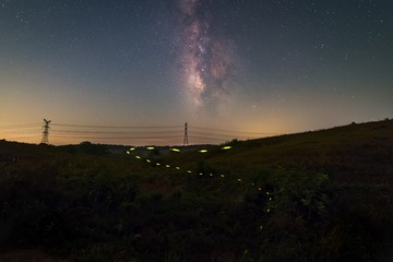 1085445