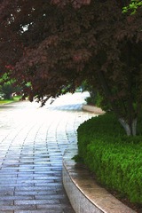 IMG_4161.JPG
