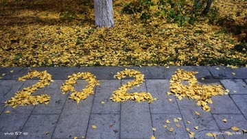 378865