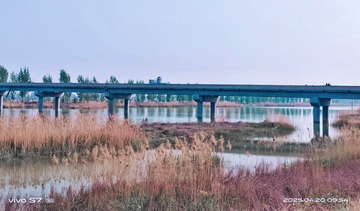 413786