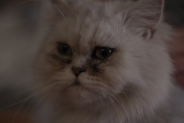 BCC5F35F-C811-4EF6-8EA9-5330AB1A91FB/L0/001