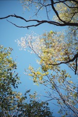 B3B07414-FF7F-4619-B662-0117716ACE84/L0/001
