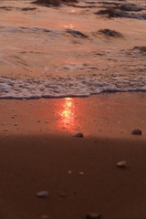 2573663A-72E8-4624-A251-39DDA3F56DFC/L0/001