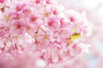 0320FA9F-14B7-415B-9579-1F7F8E2F8DF3/L0/001