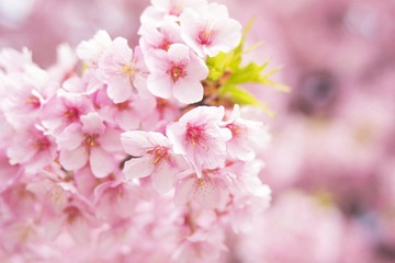F9E28A69-4BDC-4FB2-853F-C81B47936C75/L0/001