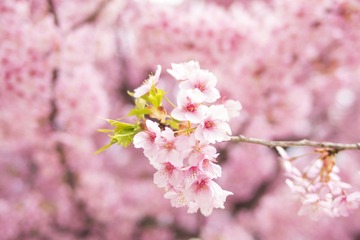 003D7FFF-6A3A-4176-84BE-5F3EF0DB7457/L0/001