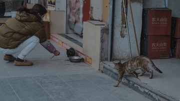 A3B0D318-B1BA-49AD-9FC0-7F0F9F7CABC8/L0/001