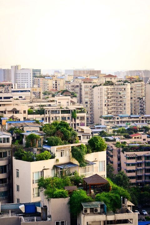 生态之家<br />
