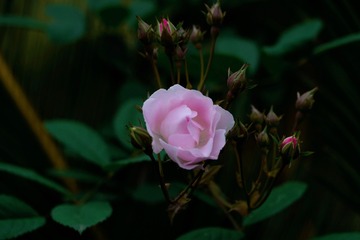 22B71DF4-1CE1-49B7-A0E2-233C21A9573A/L0/001