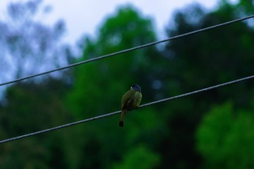 060D2541-F004-48FF-AB6B-33E313FE6A44/L0/001