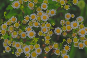 6ED45D6E-291D-4C38-9A07-EF1BF885E1BE/L0/001