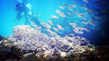 DSCN1056_