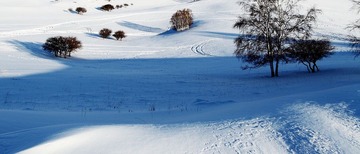 IMG_0095.JPG