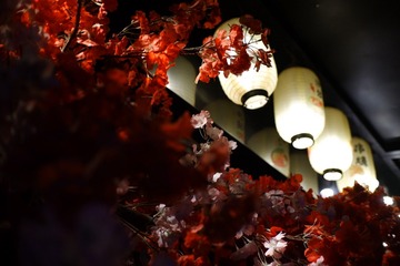 28408599-6D97-479E-AFDF-444A0D9FE826/L0/001