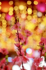 7B76030C-1950-4974-B157-4B3811297BBD/L0/001