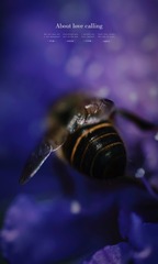 3F0B3FCD-7807-4736-873F-65ABD3EA7296/L0/001