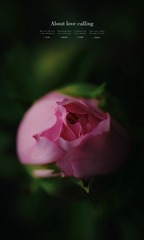 0D349A95-782D-48C2-A8AF-C9CFBD261207/L0/001