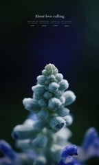 A5130635-CDE1-41E7-A33B-EE5DFA58F573/L0/001