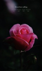 9D692F7B-F7F1-4F12-84C6-5BD96E66378D/L0/001