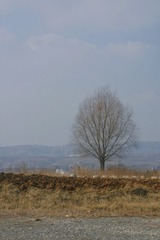 D5066361-D729-4846-A05E-BAED17B461DE/L0/001