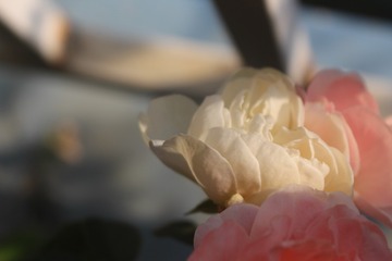 96504