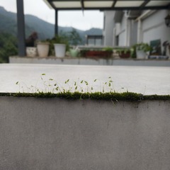5736786