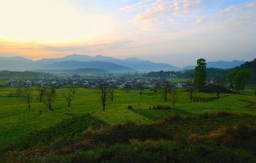 芦村1.jpg