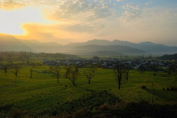 芦村2.jpg